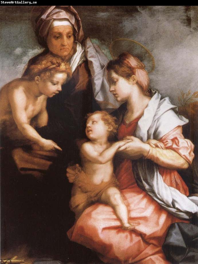 Andrea del Sarto The Madonna and the Nino, with Holy Isabel and the young one San Juan